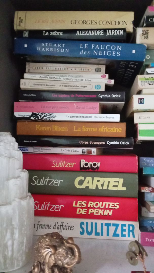 Lot of 100 books books thumbnail 6