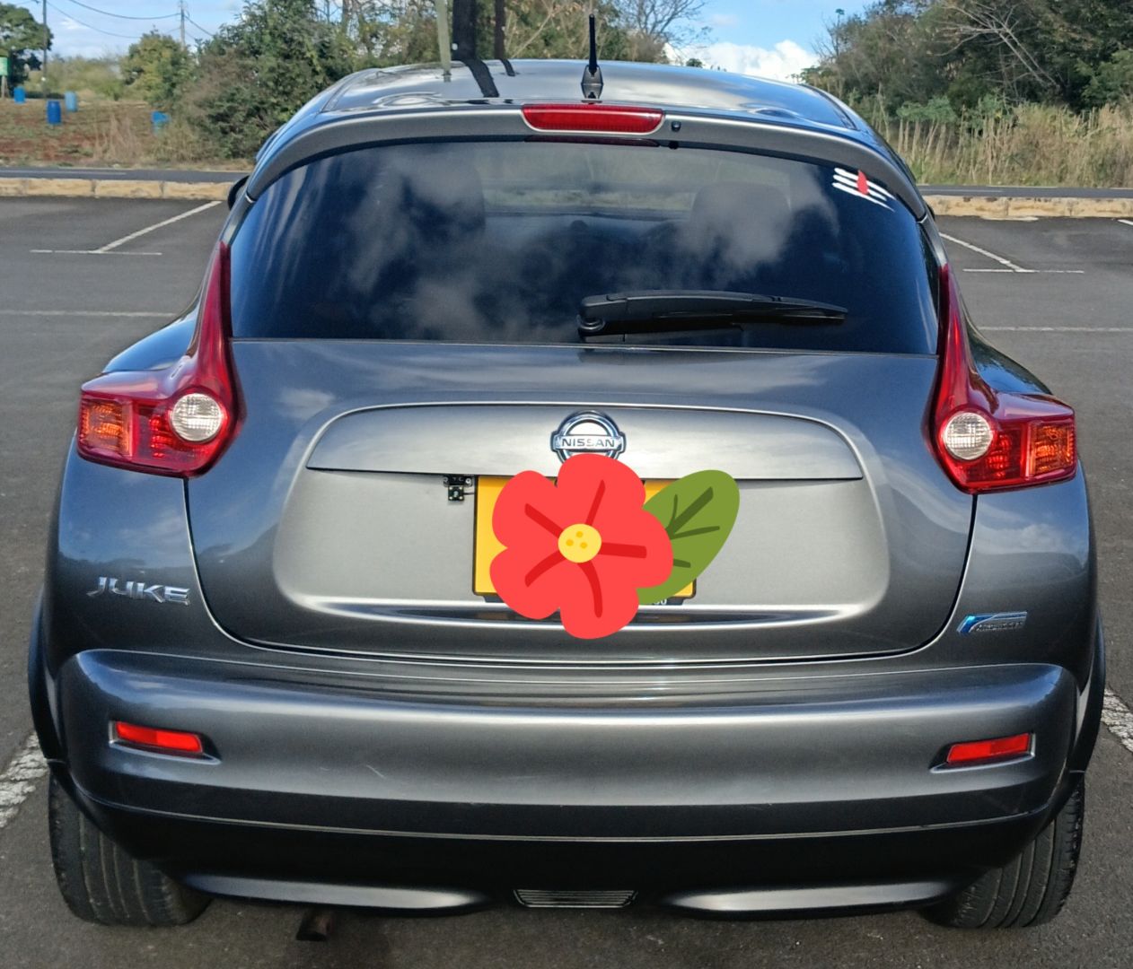 Nissan Juke 2012 thumbnail 2