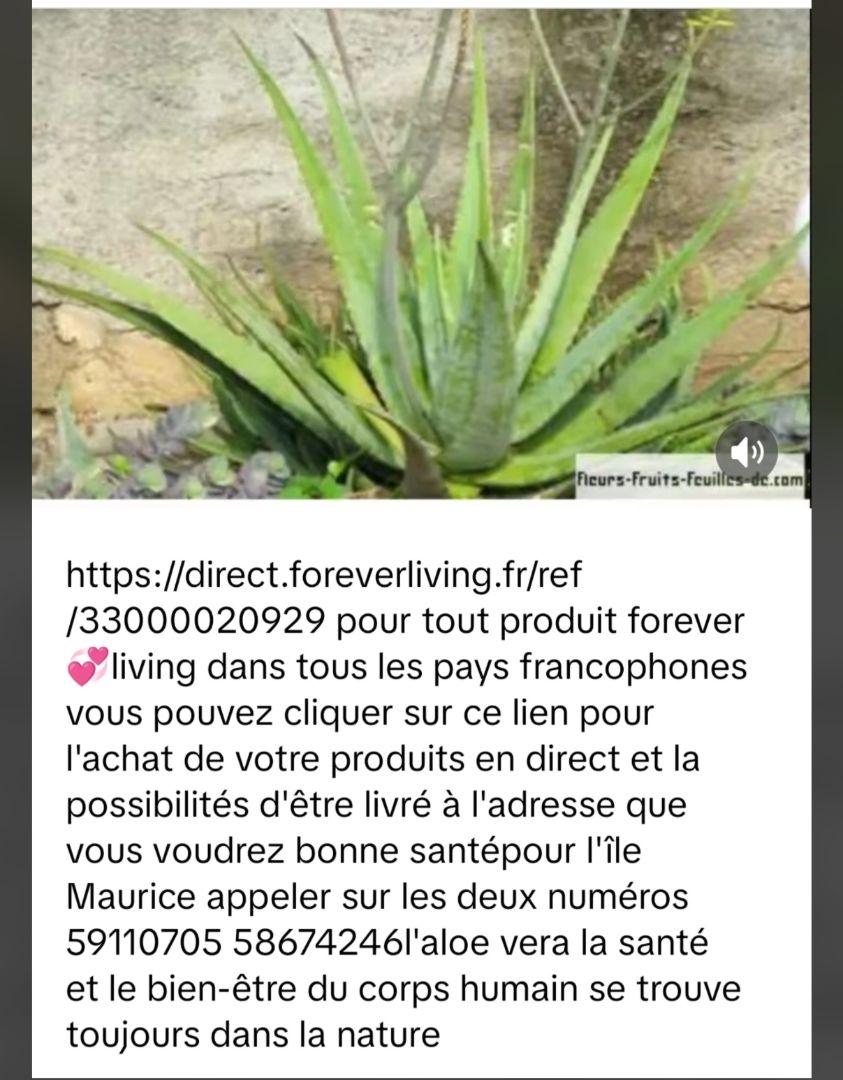 Forever Living Aloe Products Set thumbnail 4