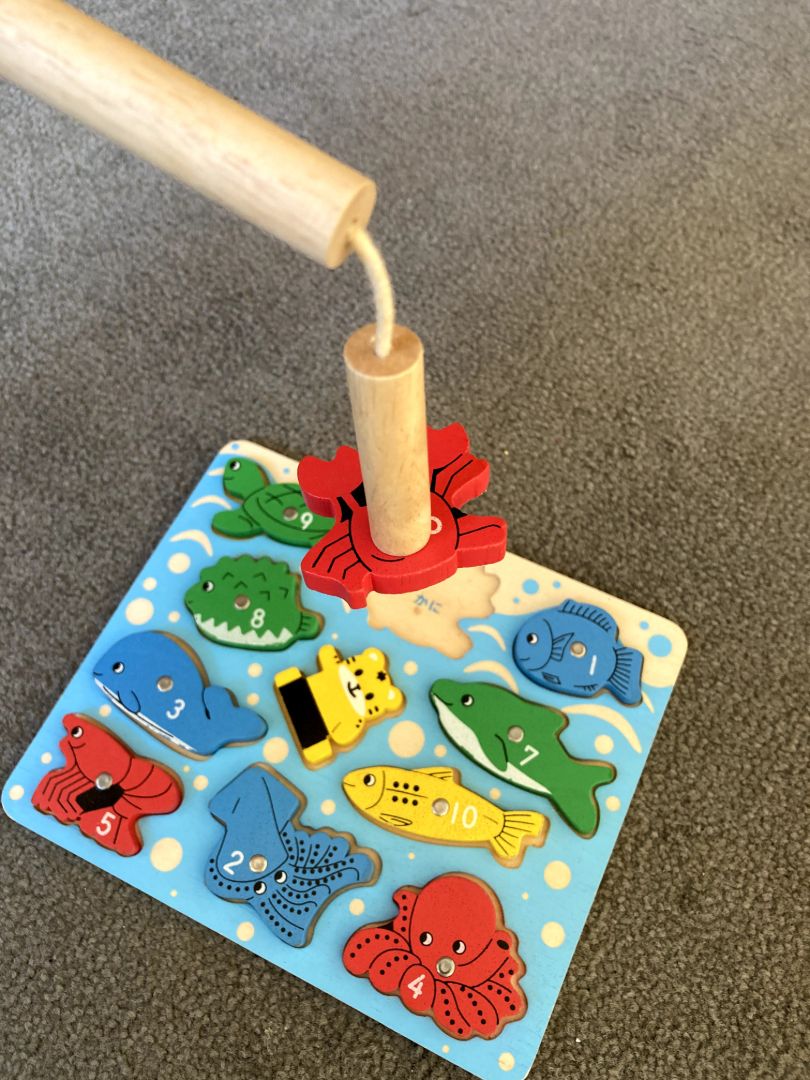 Kids Educational Toys set: Wooden Fishing Puzzle and Bristle Blocks thumbnail 2