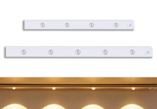 Induction Strip LED Light 80cm