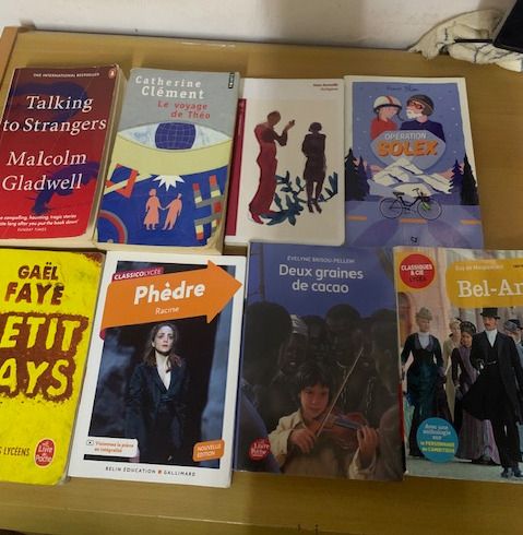 Lot of French and English Books - Various Authors (Paperback)