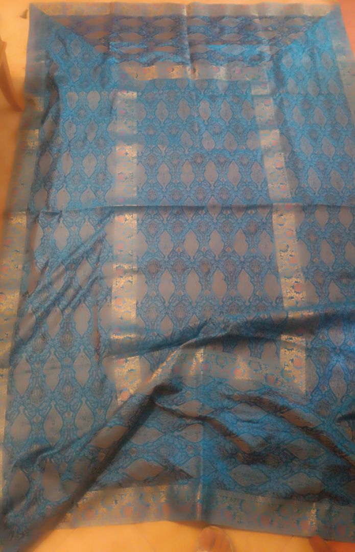 Blue Traditional Sari Women