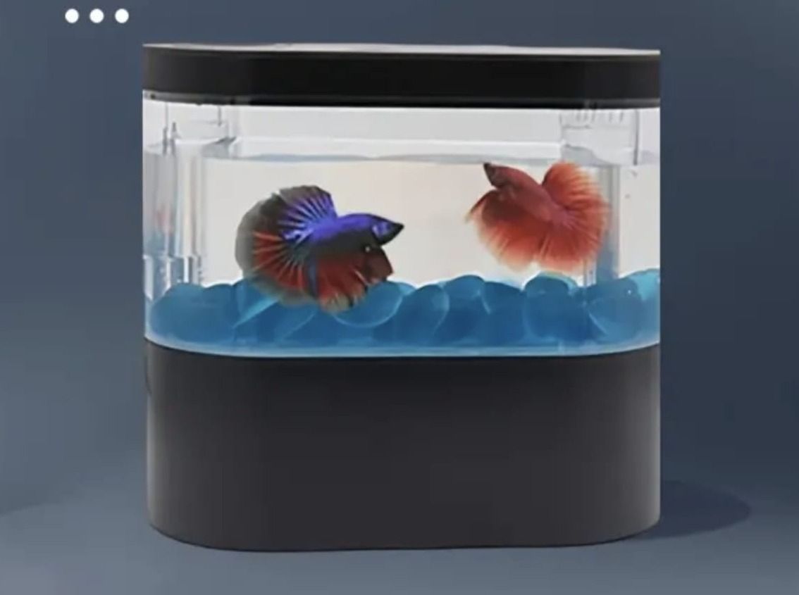 Mini Desktop Aquarium Tank Black thumbnail 4