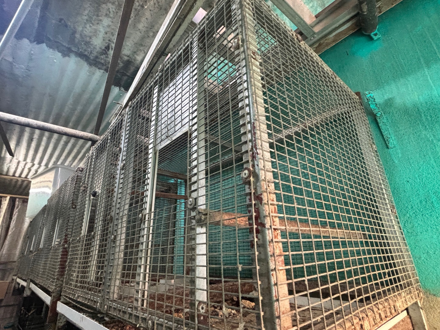 Bird Cage for Cockatiel and Cato 3ft x 2ft x 2ft thumbnail 4