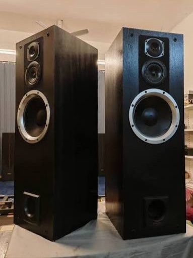 Pioneer Speaker