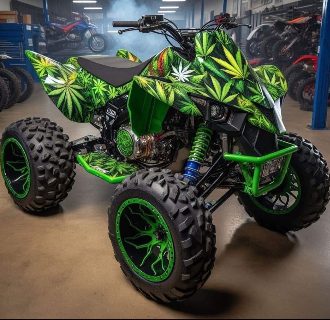 Custom Quad Bike 2023 450cc Manual