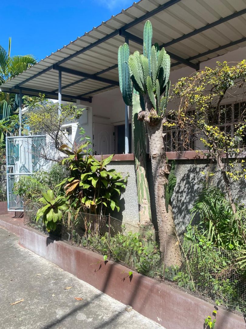 House with terrace