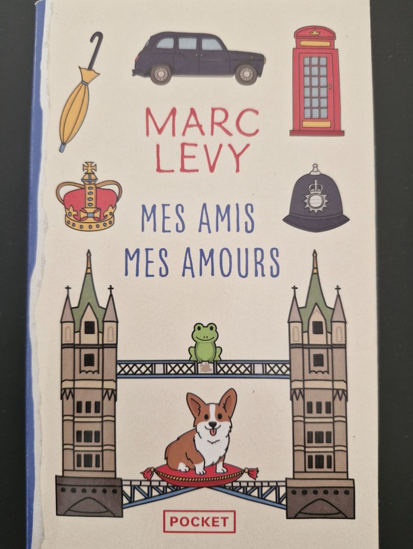 Mes Amis Mes Amours - Marc Levy (Pocket Paperback)