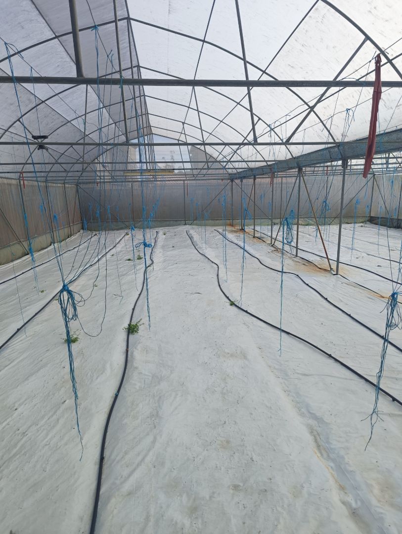 Greenhouse complete for sale thumbnail 7