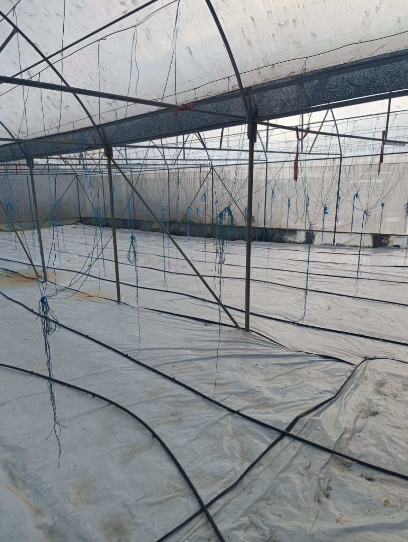 Greenhouse complete for sale thumbnail 8