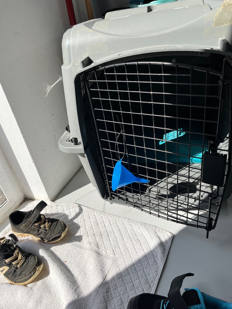 Petmate Pet Carrier Gray thumbnail 2