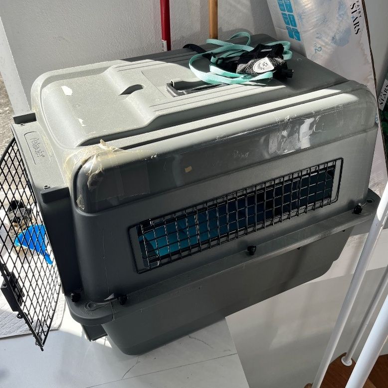 Petmate Pet Carrier Gray