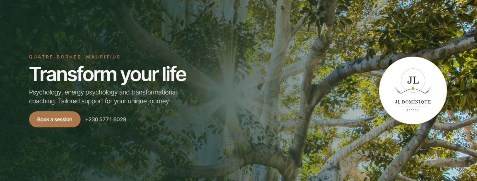 JL Dominique - Energy Psychology Coaching & Consultancy