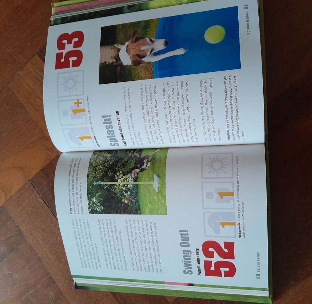 101 Fun Things to Do with Your Dog - Alison Smith - Image 1 of 2