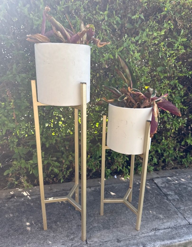 2 White Ceramic Flower Pots on Gold Metal Stands