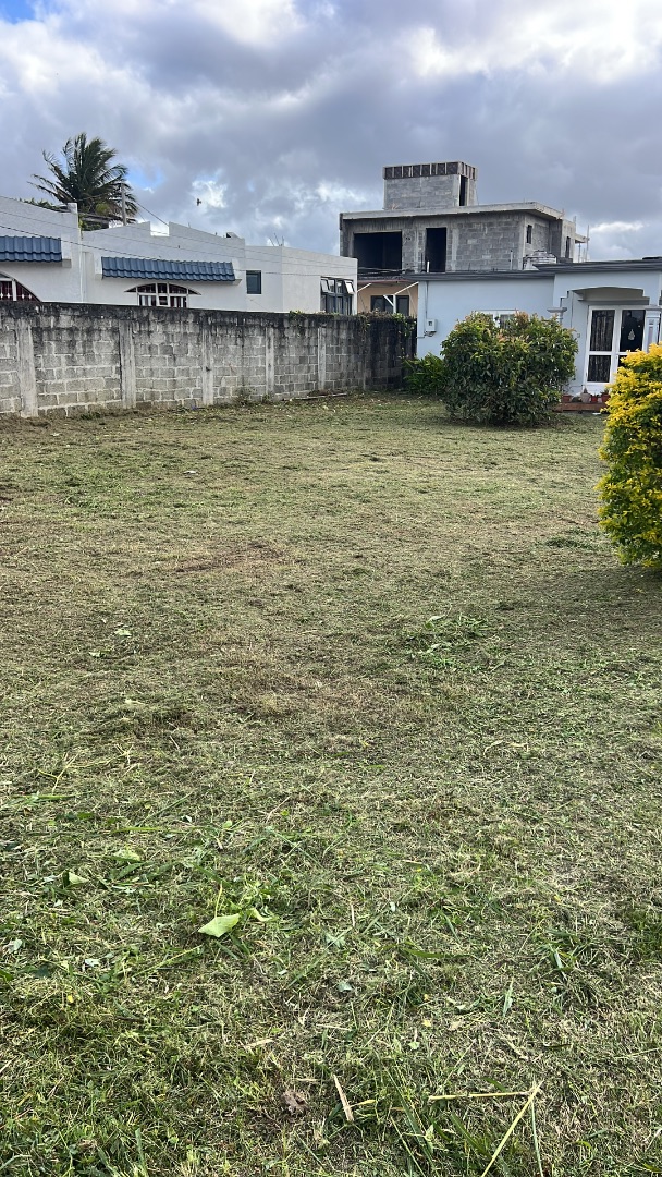 Professional Gardening & Grass Cutting Services thumbnail 2