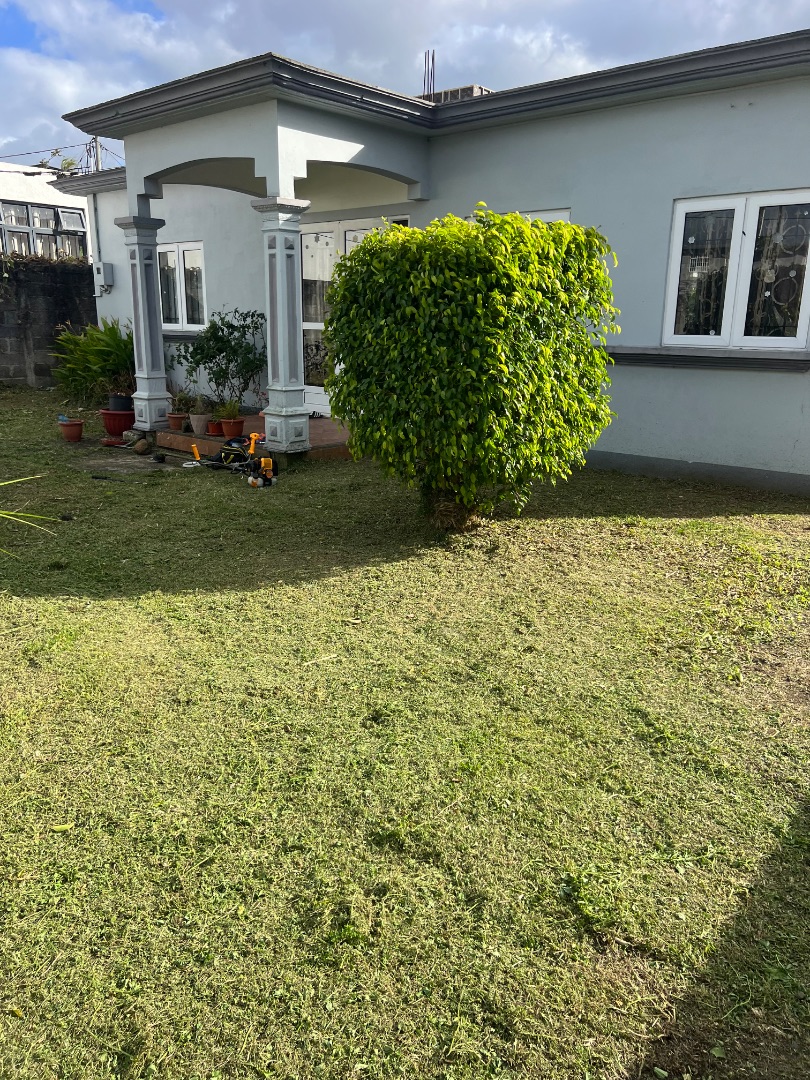 Professional Gardening & Grass Cutting Services thumbnail 3