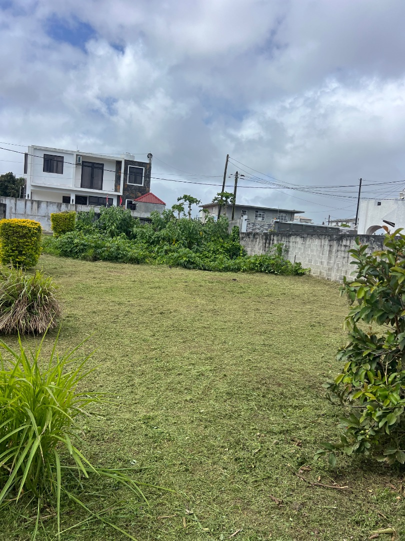 Professional Gardening & Grass Cutting Services thumbnail 5