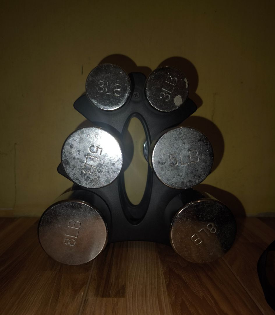 Dumbbell Set with Stand 3lb 5lb 8lb
