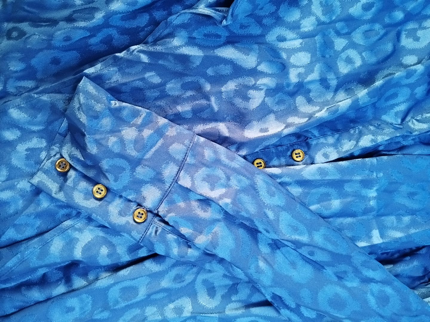Blue Animal Print Tie-Front Long Sleeve Blouse thumbnail 3